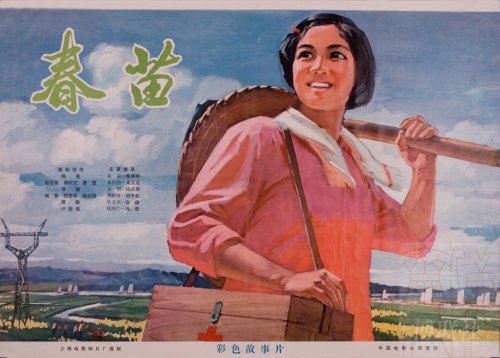 购买假澳洲首都领地驾驶证